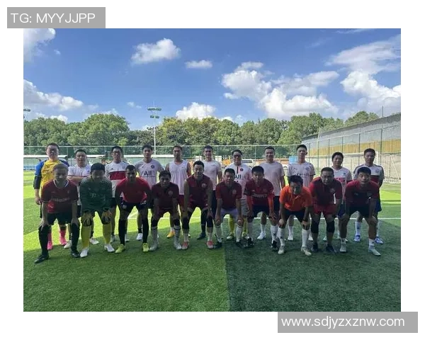 重庆足球队团队协作深度解析及对比分析报告