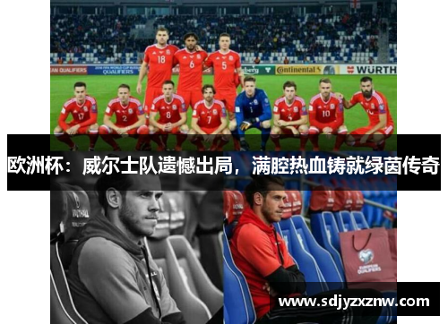 欧洲杯：威尔士队遗憾出局，满腔热血铸就绿茵传奇